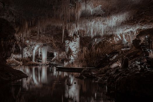 Wonders of Wildlife near Springfield