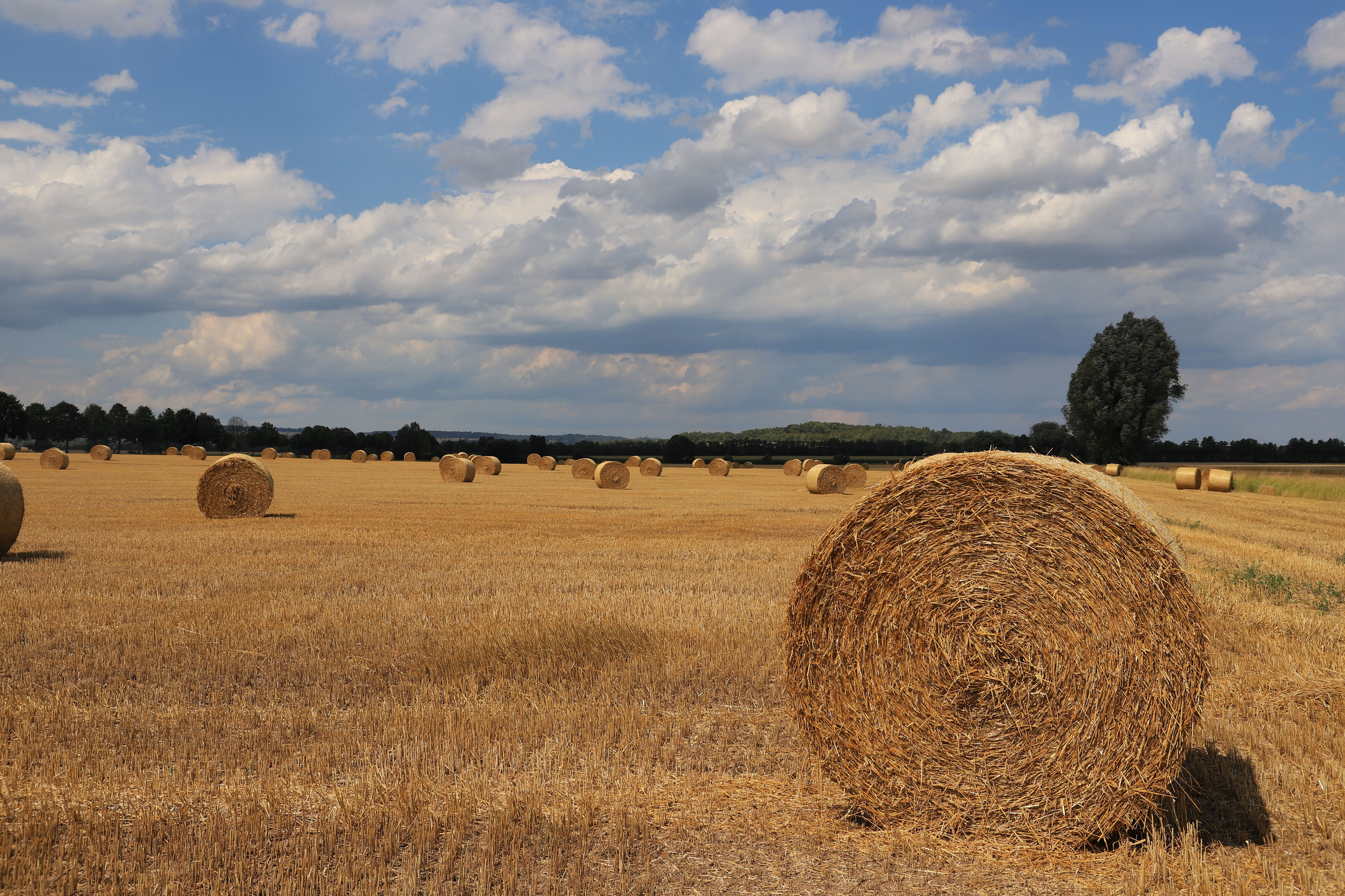 Queda de 86% no lucro da 3tentos expõe vulnerabilidade do setor agro no cenário atual