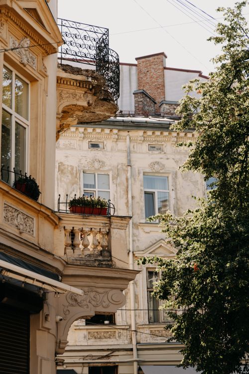 Free Elegant historic buildings in a sunny European city with ornate details and lush greenery. Stock Photo