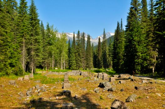 Explore ancient stone ruins surrounded by lush mountain forest and snow-capped peaks.