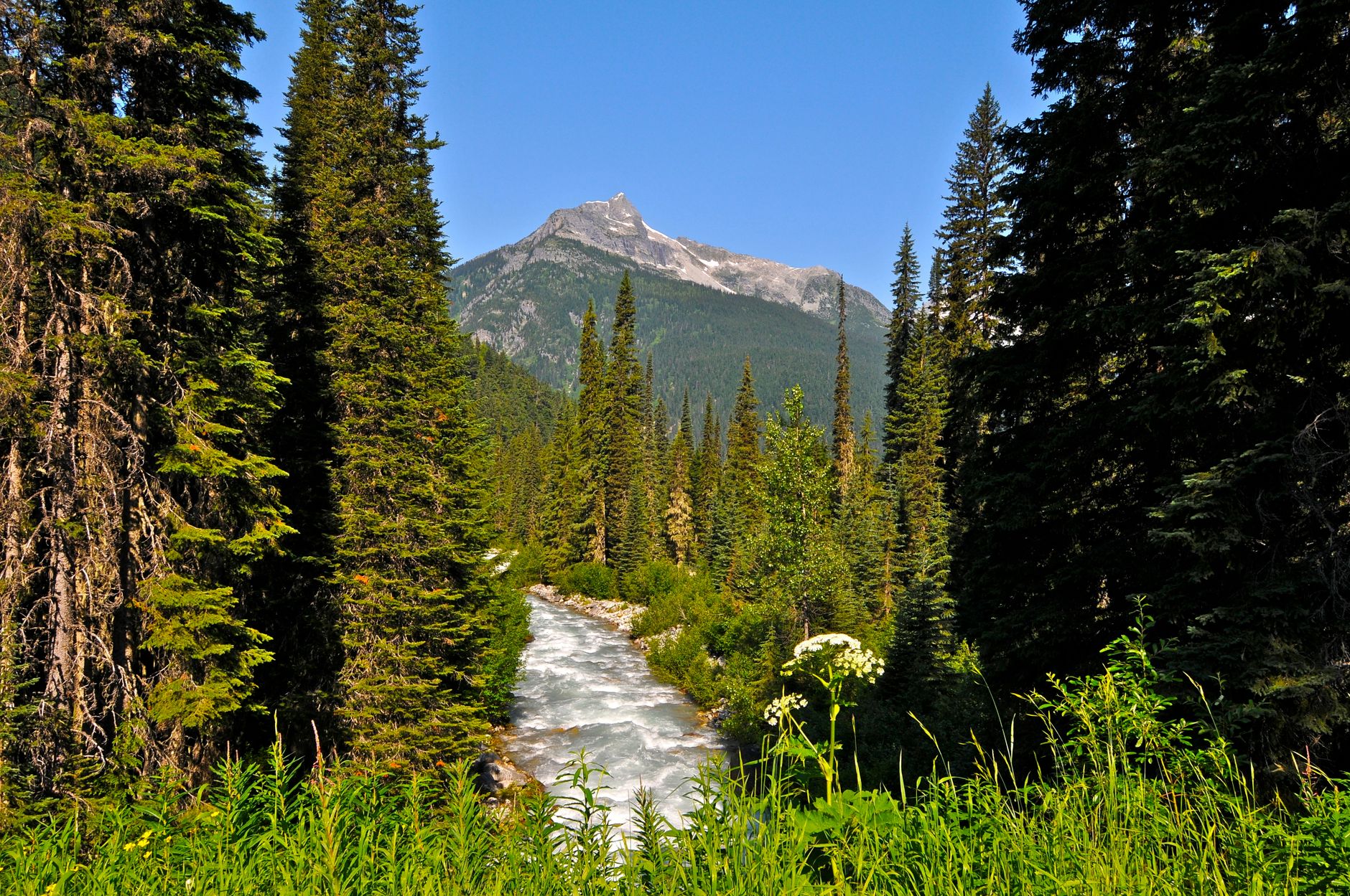 Islands in the Stream