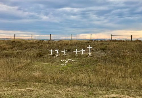 Free White memorial crosses on a tranquil Alberta prairie under a cloudy sky. Stock Photo