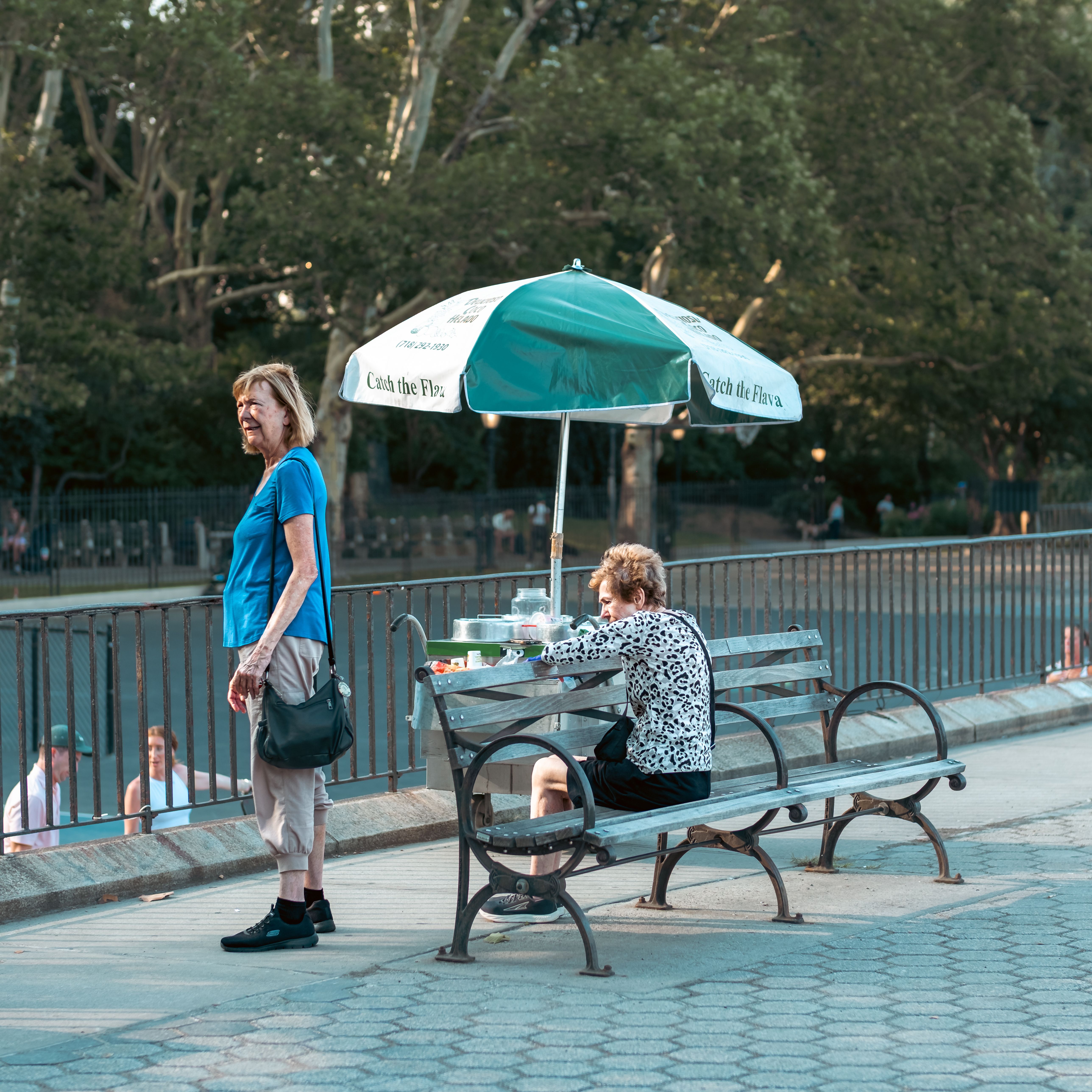 Two senior adults in a public park in New York City during daylight, capturing urban life.