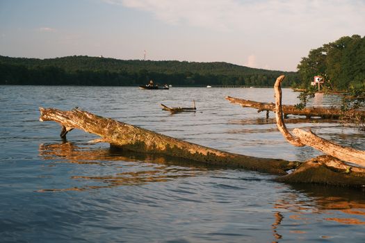 Tranquil sunset at Wansee Lake in Berlin, showcasing driftwood and distant boaters.