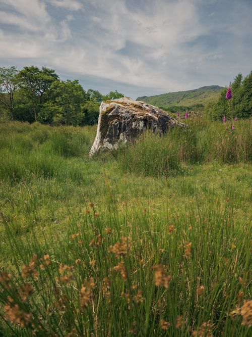 Free A picturesque Irish landscape featuring a large stone surrounded by grass and wildflowers under a summer sky. Stock Photo