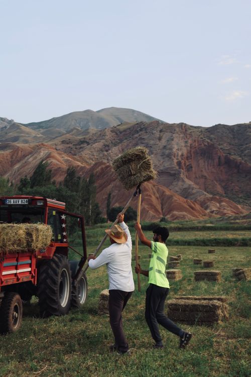 Free Farmers work together to load hay bales on a tractor, set against a picturesque mountain backdrop. Stock Photo