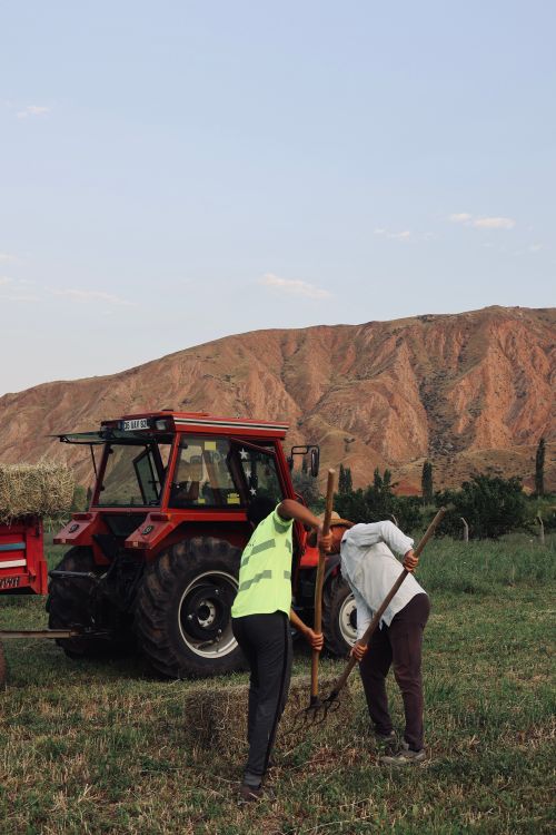 Free Two farmers work in a field with a red tractor and mountainous backdrop during the day. Stock Photo