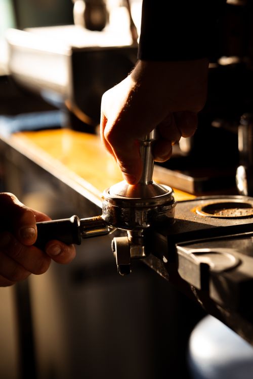 Free Dramatic lighting captures a barista pressing espresso grounds with precision. Stock Photo