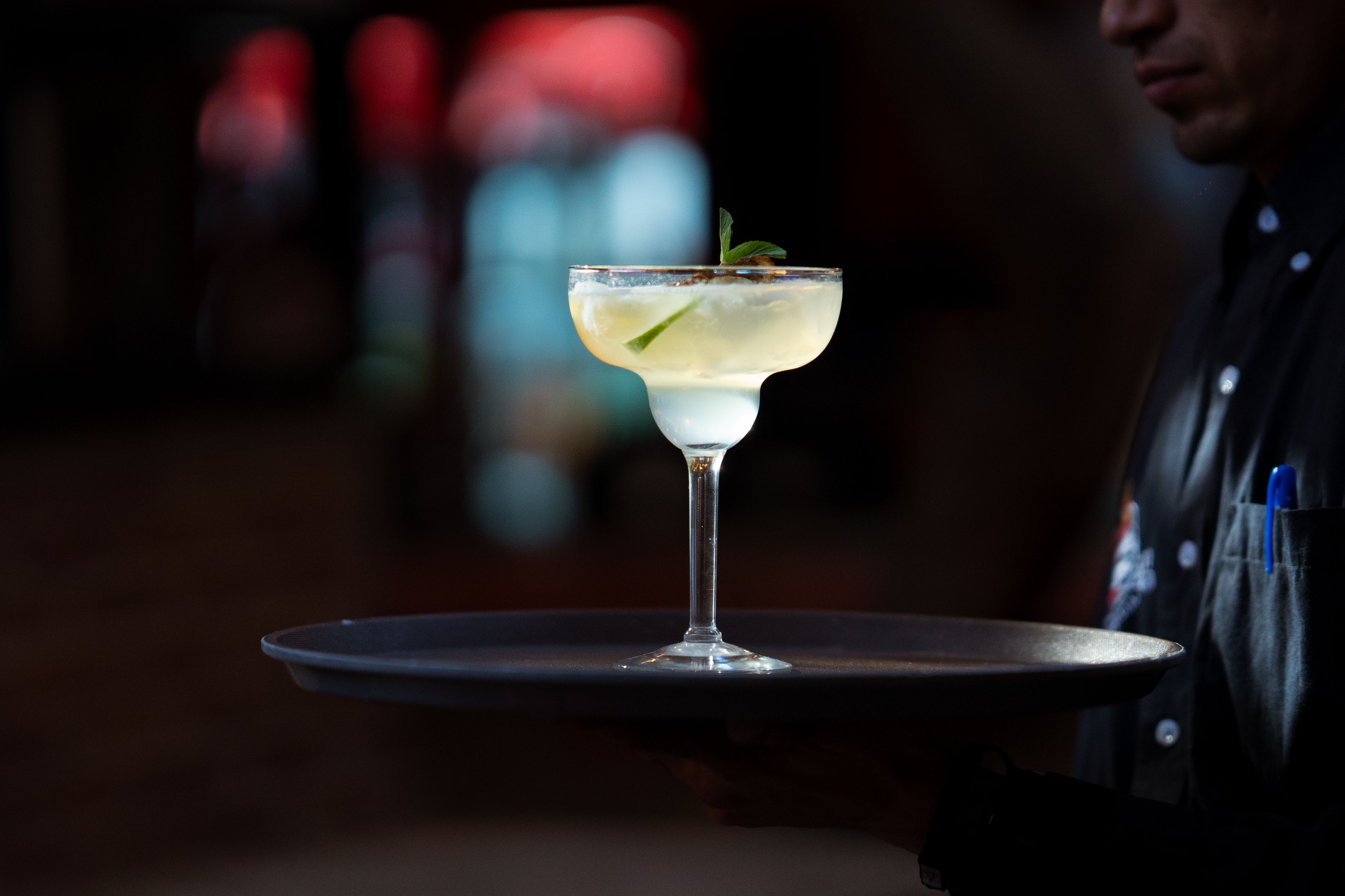 Bar Volpe