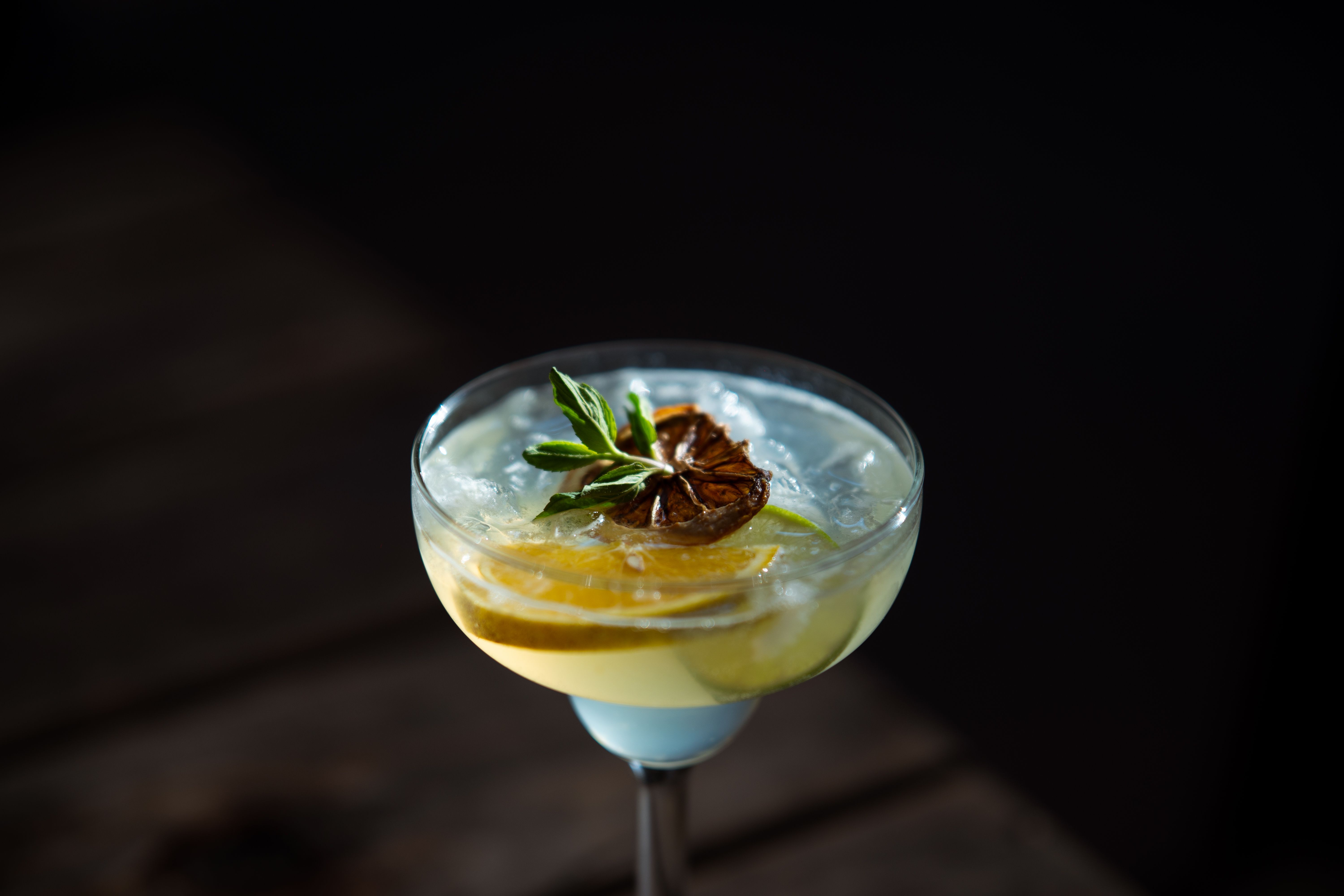 Elegant cocktail featuring sliced citrus and herbs in a glass, perfect for summer evenings.
