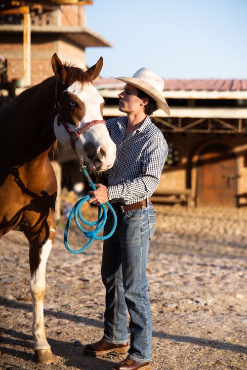 Free A cowboy in a hat and jeans interacting with a horse on a ranch during sunset. Captures rural lifestyle. Stock Photo