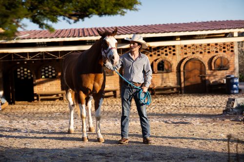Free A cowboy guides a horse outside a rustic stable on a sunny day, showcasing rural lifestyle. Stock Photo