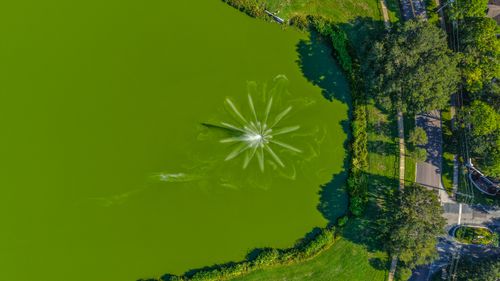 Free Aerial shot of a fountain creating a pattern in a green-colored lake surrounded by trees. Stock Photo