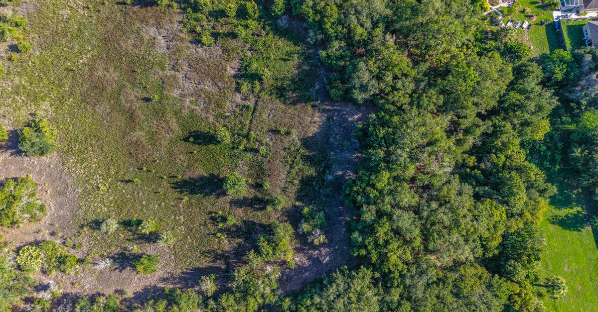 Scenic aerial view showcasing lush greenery and wilderness in Florida, USA.