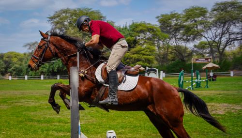 Free Man and horse jumping a hurdle in a sunny equestrian arena. Stock Photo