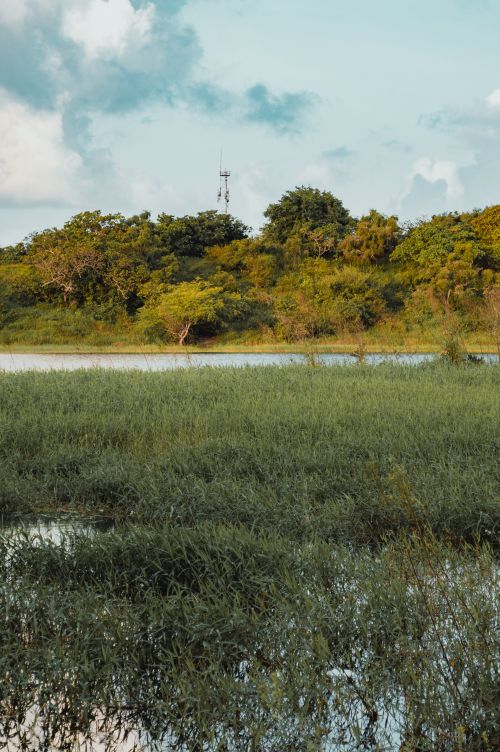 Free Scenic view of lush greenery and a water body in Natal, Brazil under a bright sky. Stock Photo