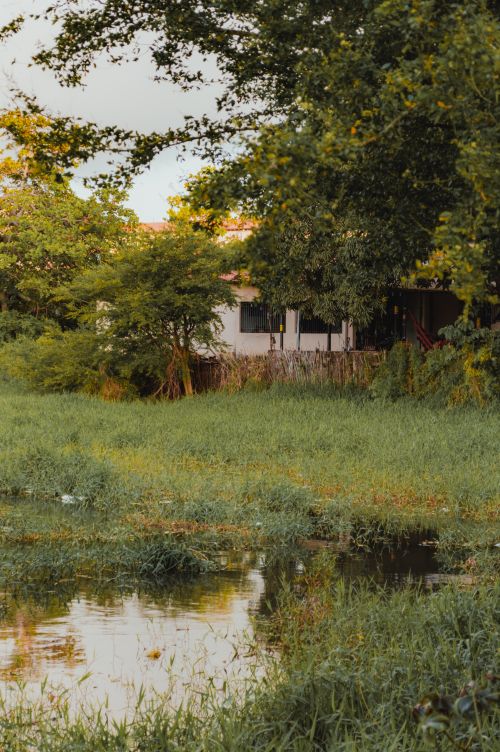 Free Beautiful house by a river surrounded by lush greenery in Natal, Brazil, during summer. Stock Photo