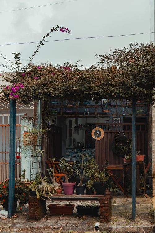 Free Cozy patio in Natal, Brazil featuring vibrant potted plants and rustic decor. Stock Photo