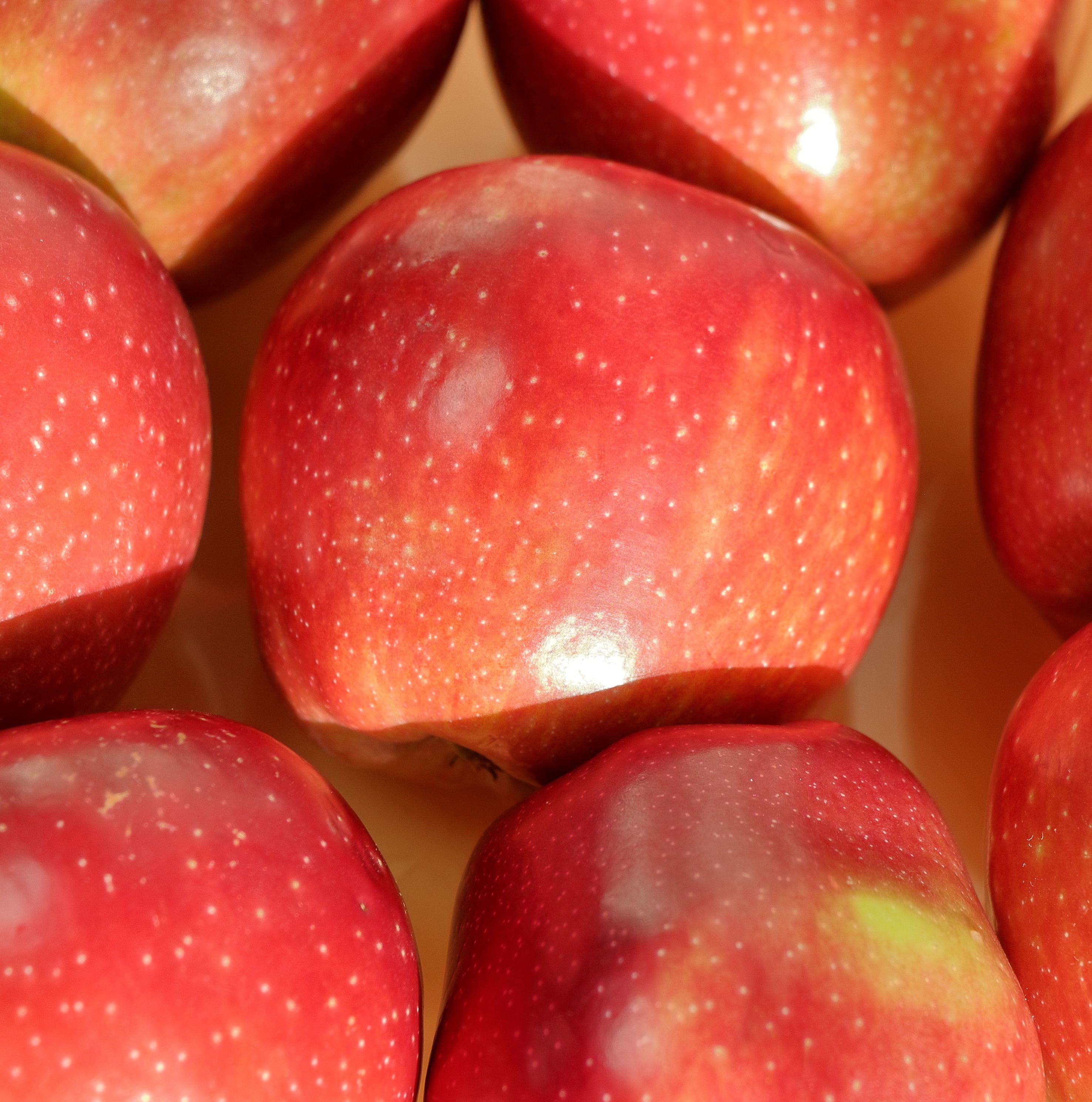 Hortifruti