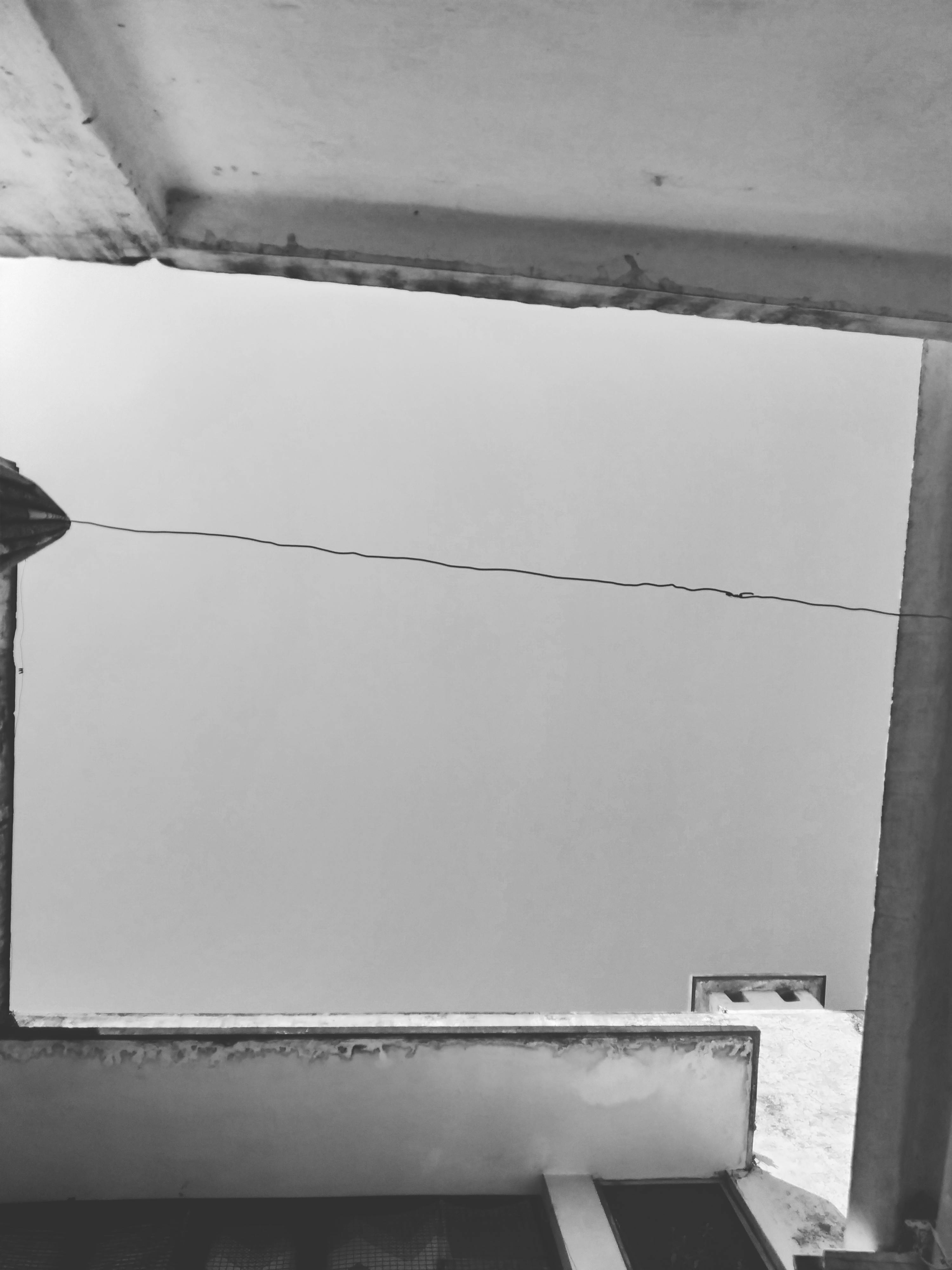 バンコクの活気あるストリートマーケット