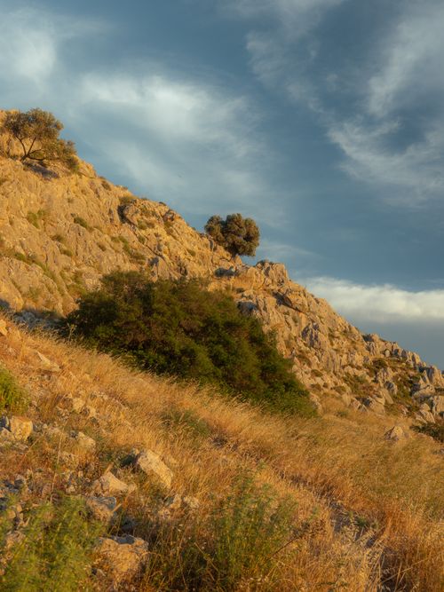 Free Sunset view of rocky hill with trees in Rhodos, Greece, during golden hour. Stock Photo