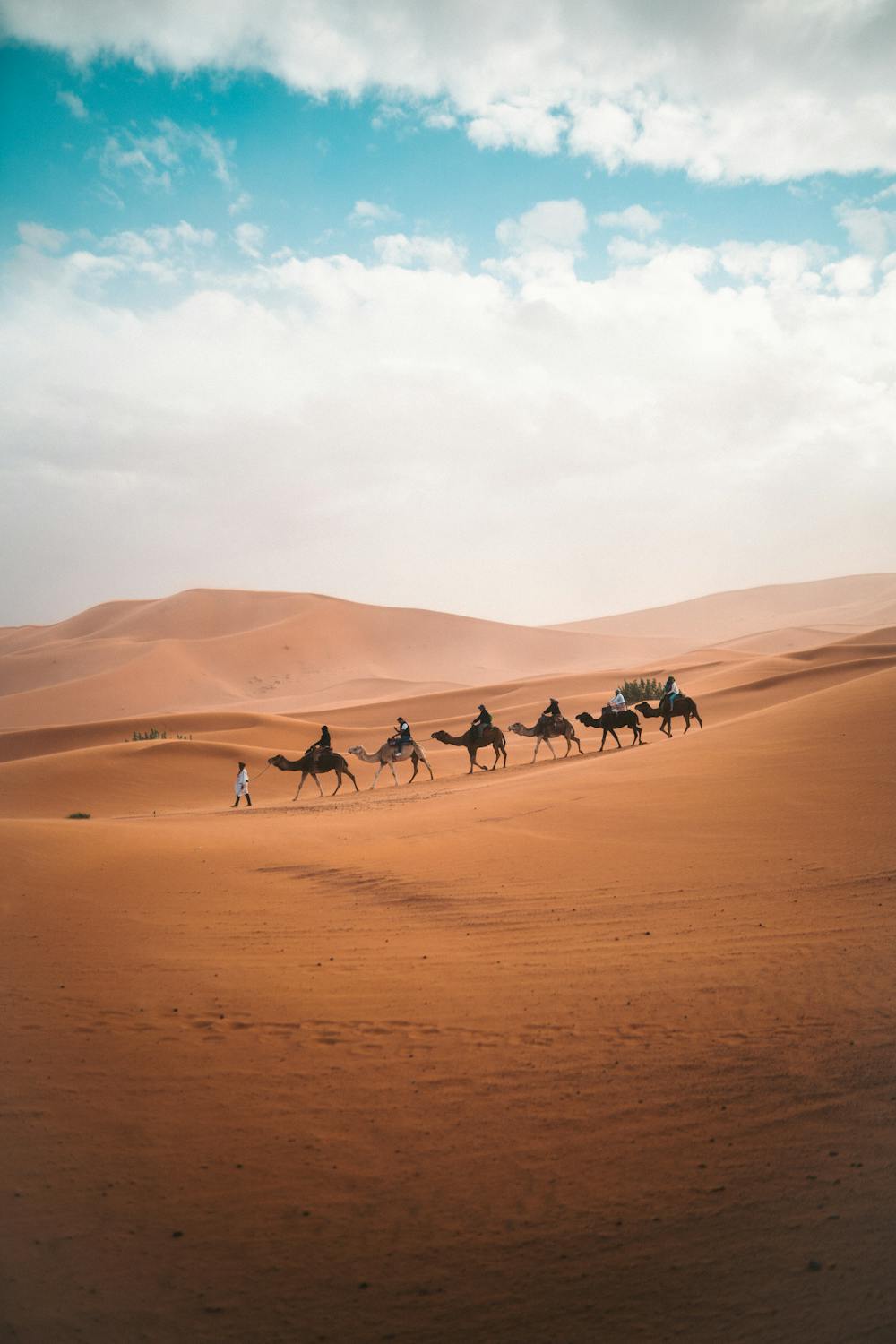 Sahara desert as one of the sober vacation ideas