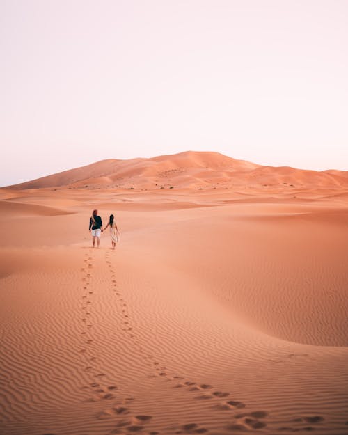 al wahat al dakhla沙漠, 一對, 乾旱 的 免費圖庫相片