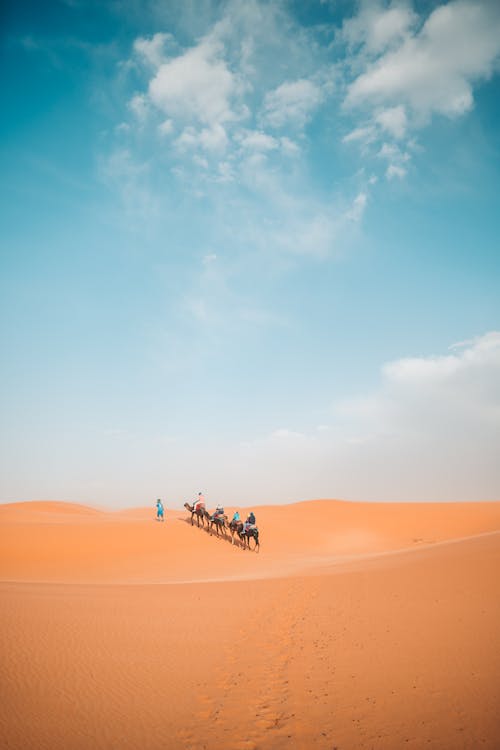 People Riding Camels In The Desert