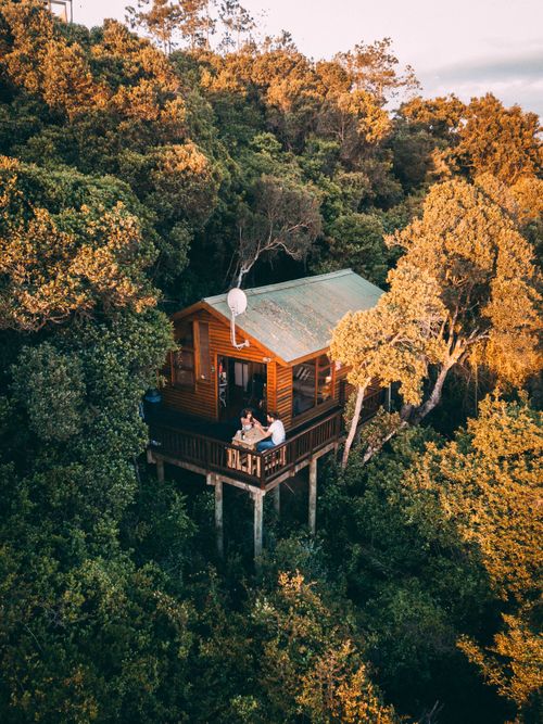 Free Aerial shot of a secluded treehouse nestled amidst lush woods in South Africa. Stock Photo