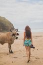 Woman Holding A Camera Near A Cow