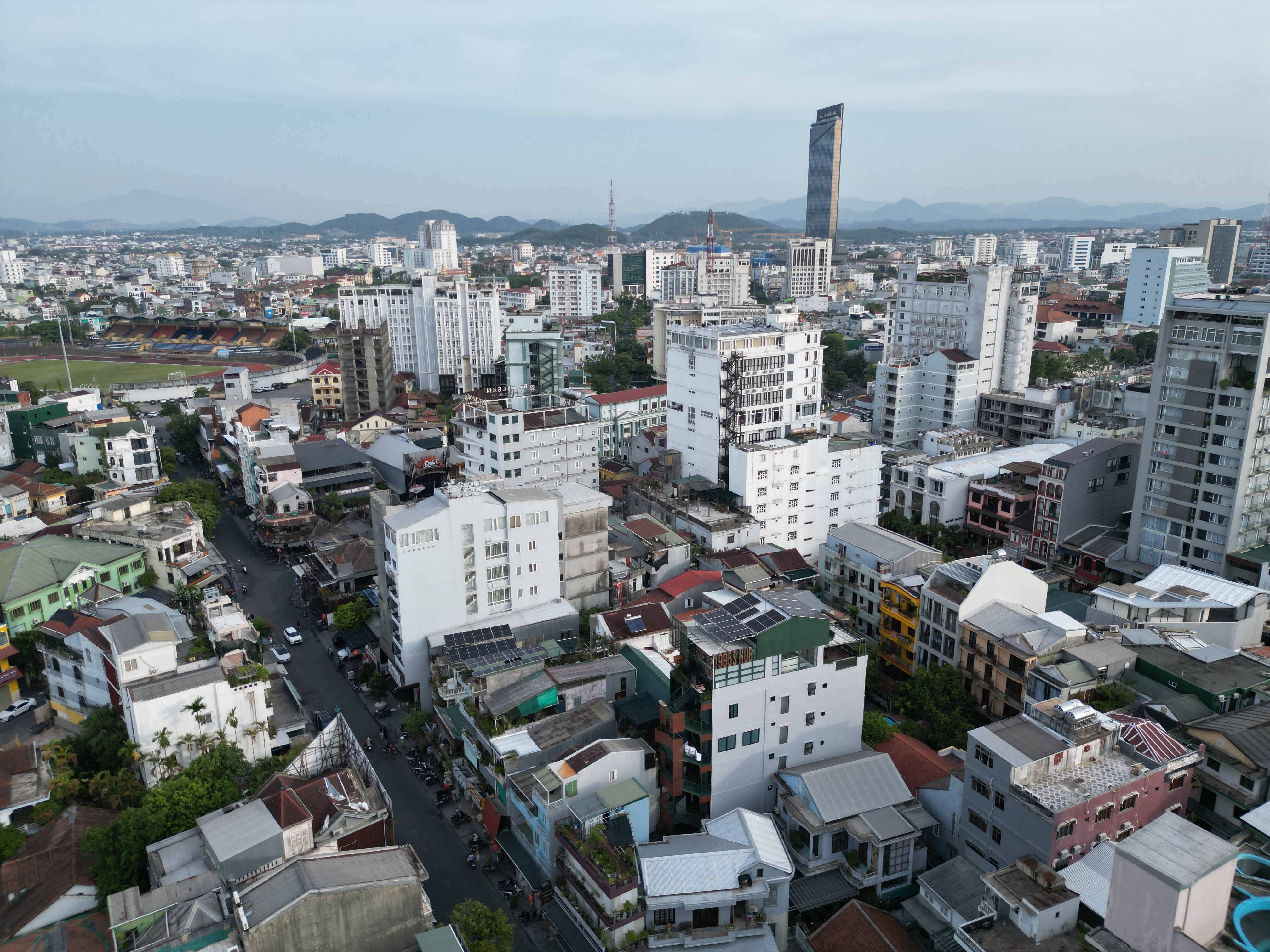 giải pháp lưu trú đà nẵng khi có thú cưng