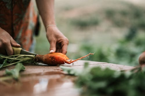 Free Person Slicing A Carrot Stock Photo