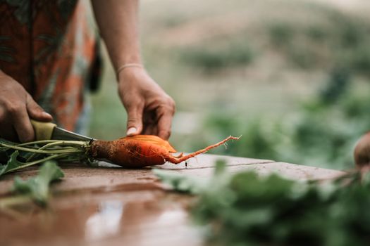 Close-up of hands slicing a fresh carrot on a wooden table outdoors in a garden setting.