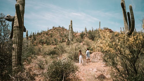 Foto stok gratis alam, Arizona, di luar rumah