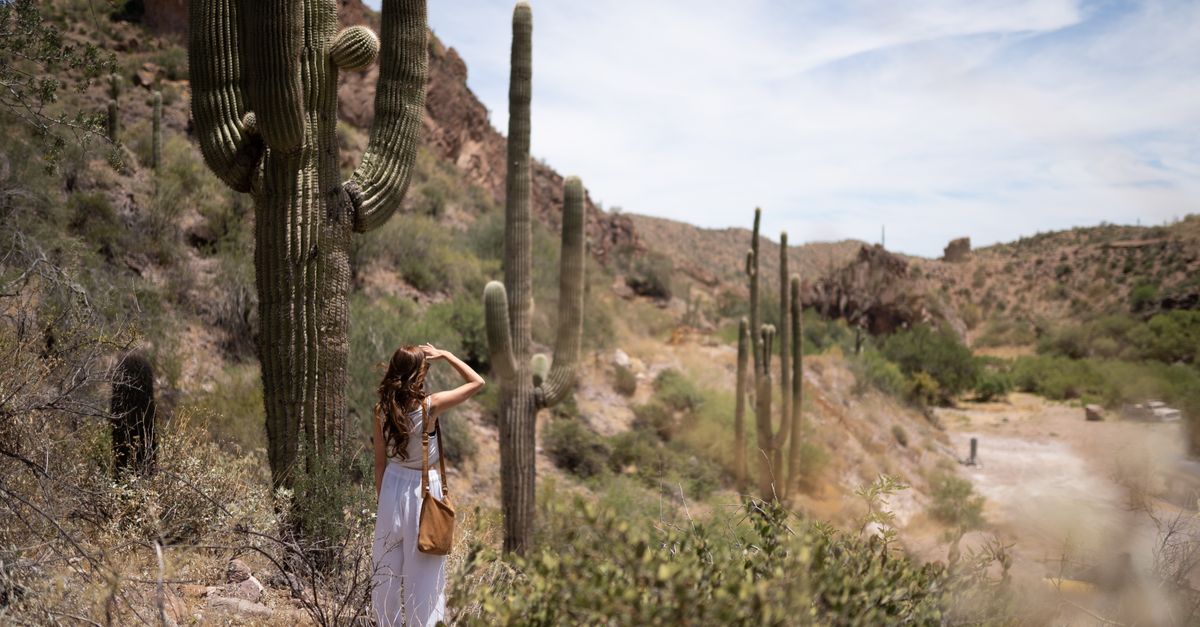 A woman in a white dress explores a scenic Arizona desert with saguaro cacti under a bright sky.