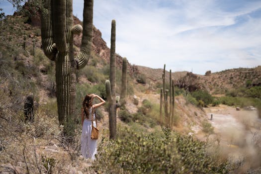 A woman in a white dress explores a scenic Arizona desert with saguaro cacti under a bright sky.