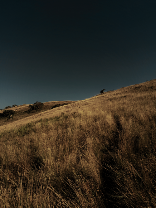 Free A serene view of a golden grassy hillside under a deep blue sky, evoking tranquility. Stock Photo