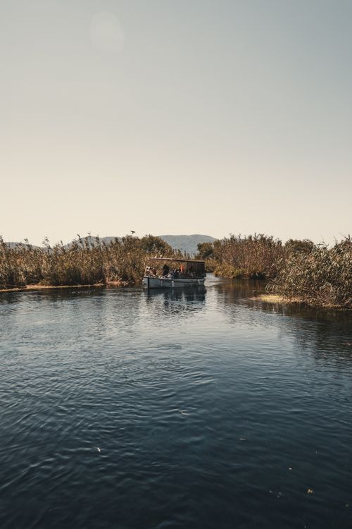 Free A serene boat journey through a peaceful river surrounded by lush reeds under a clear sky. Stock Photo