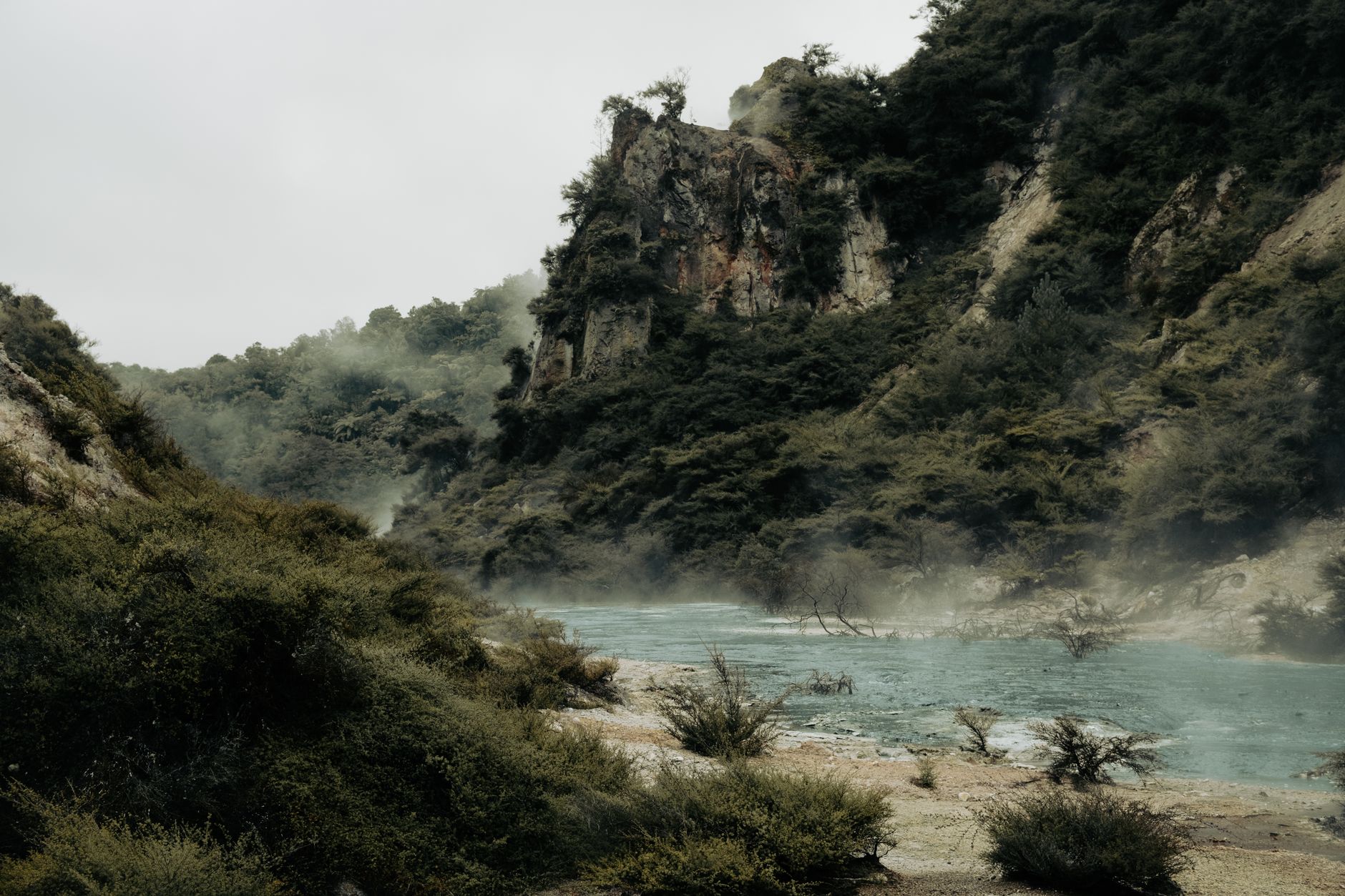 Waimangu Volcanic Valley