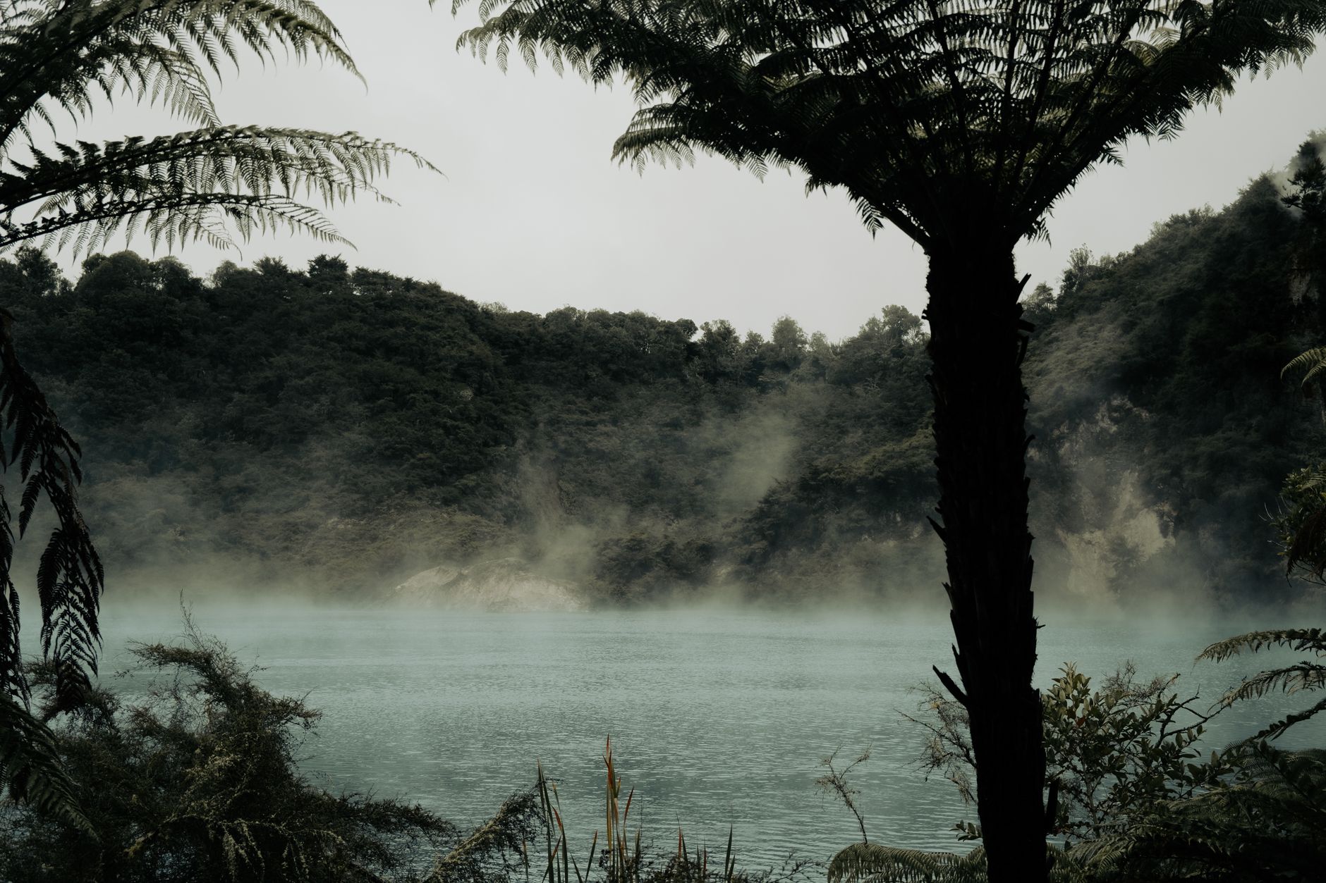 Rotorua
