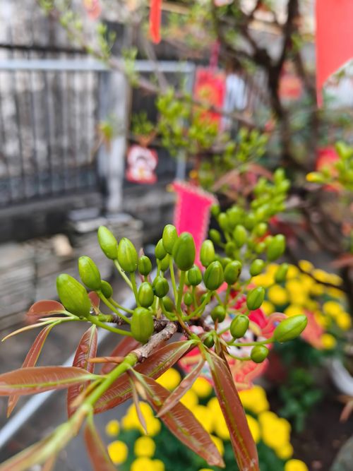 Free stock photo of plait, s pring st Stock Photo