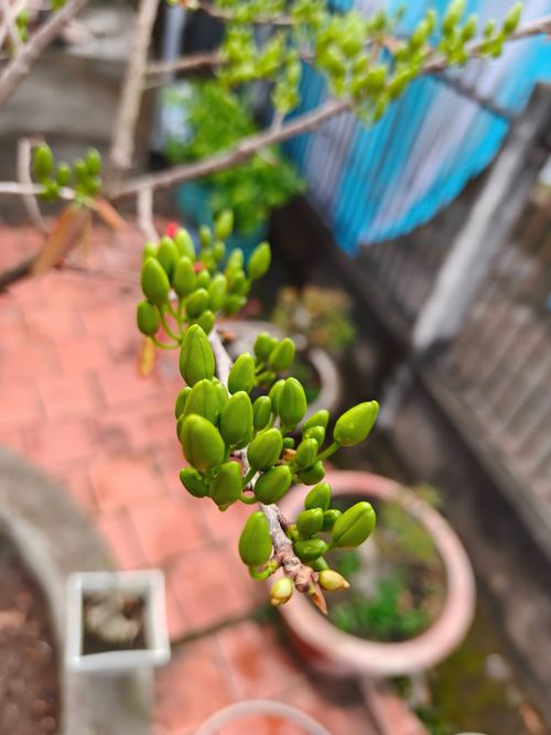 Free stock photo of plait, s pring st Stock Photo