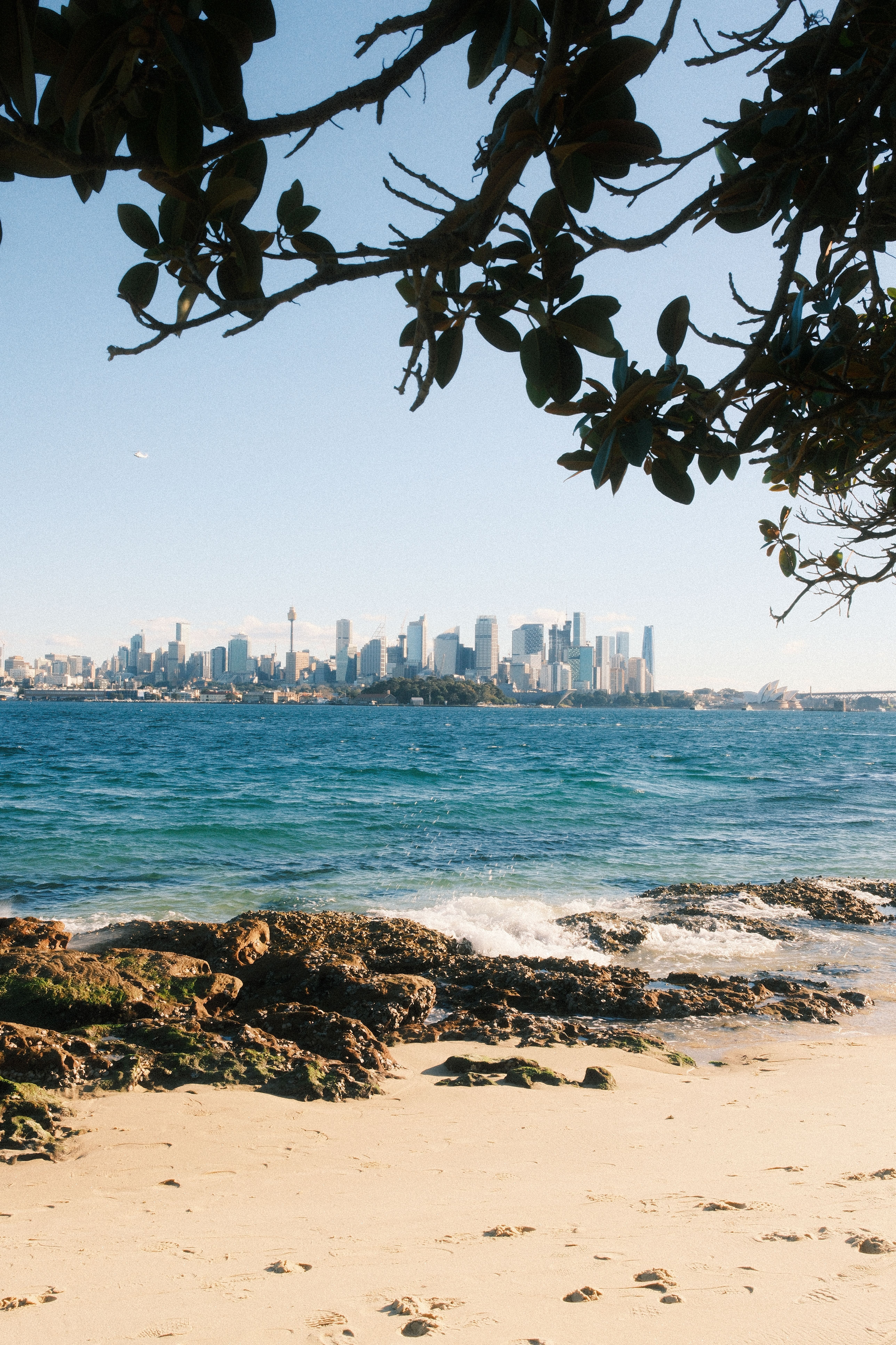 Captivating beach view overlooking Sydney's iconic skyline on a sunny day.