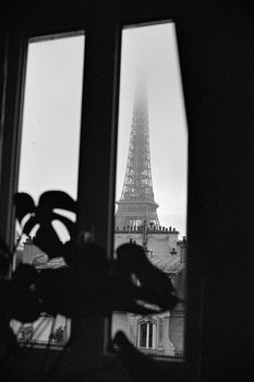 Black and white photo of the Eiffel Tower seen through a window with a plant silhouette.