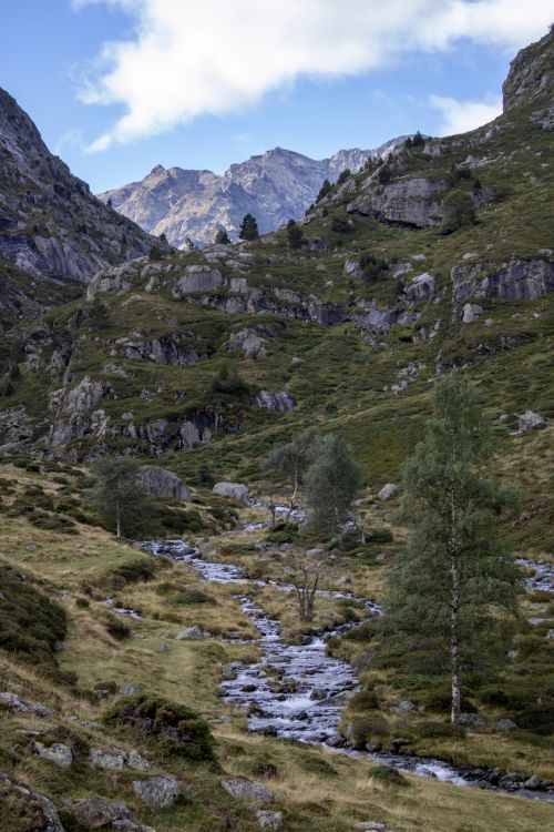 Free Captivating view of a mountain stream winding through a rocky alpine landscape. Stock Photo