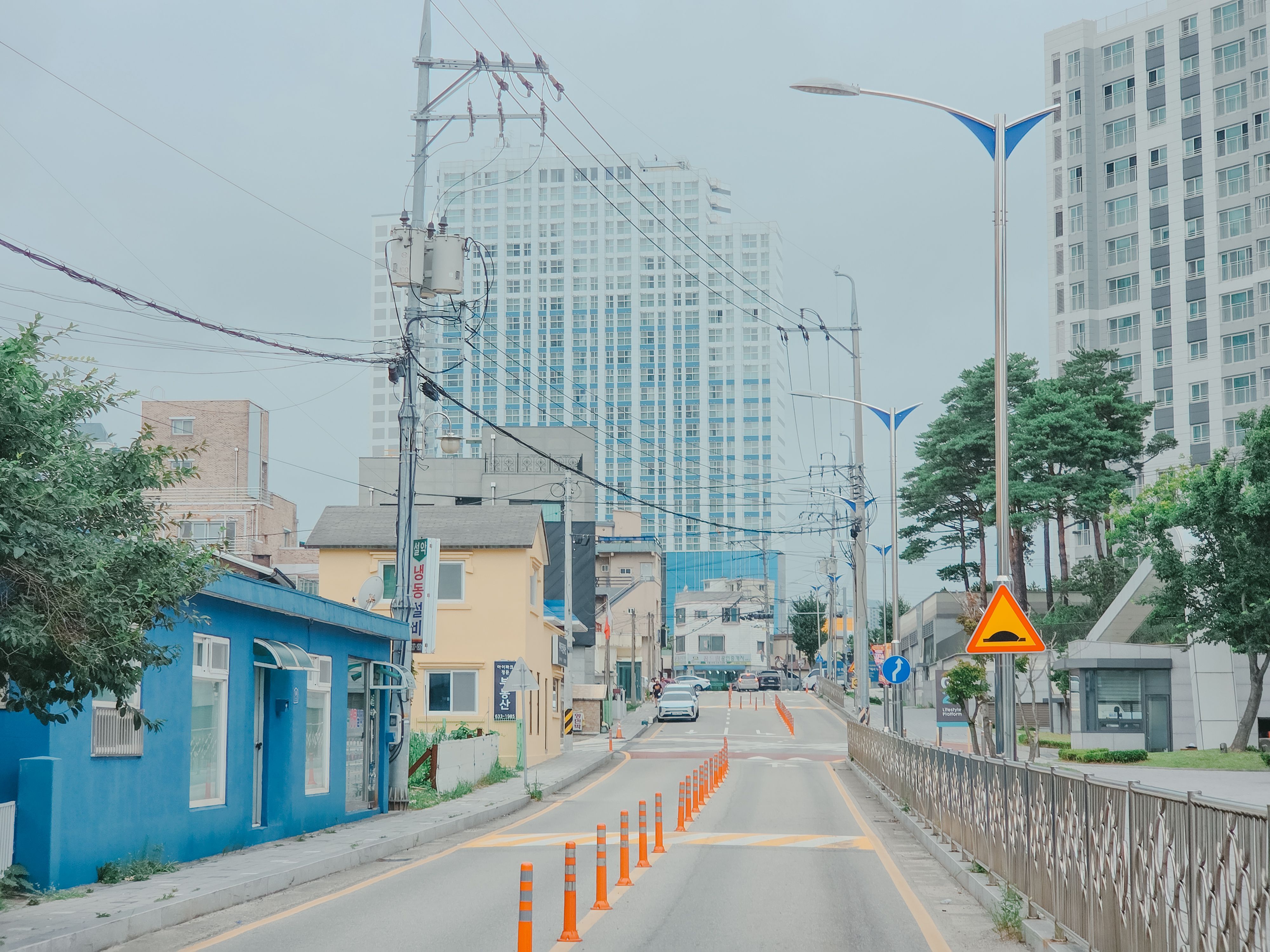 시간대별 동선 안내 (강릉 가볼만한곳)