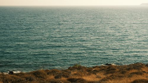 Free Tranquil ocean scene with gentle waves and dry grass shoreline under a hazy sky. Stock Photo