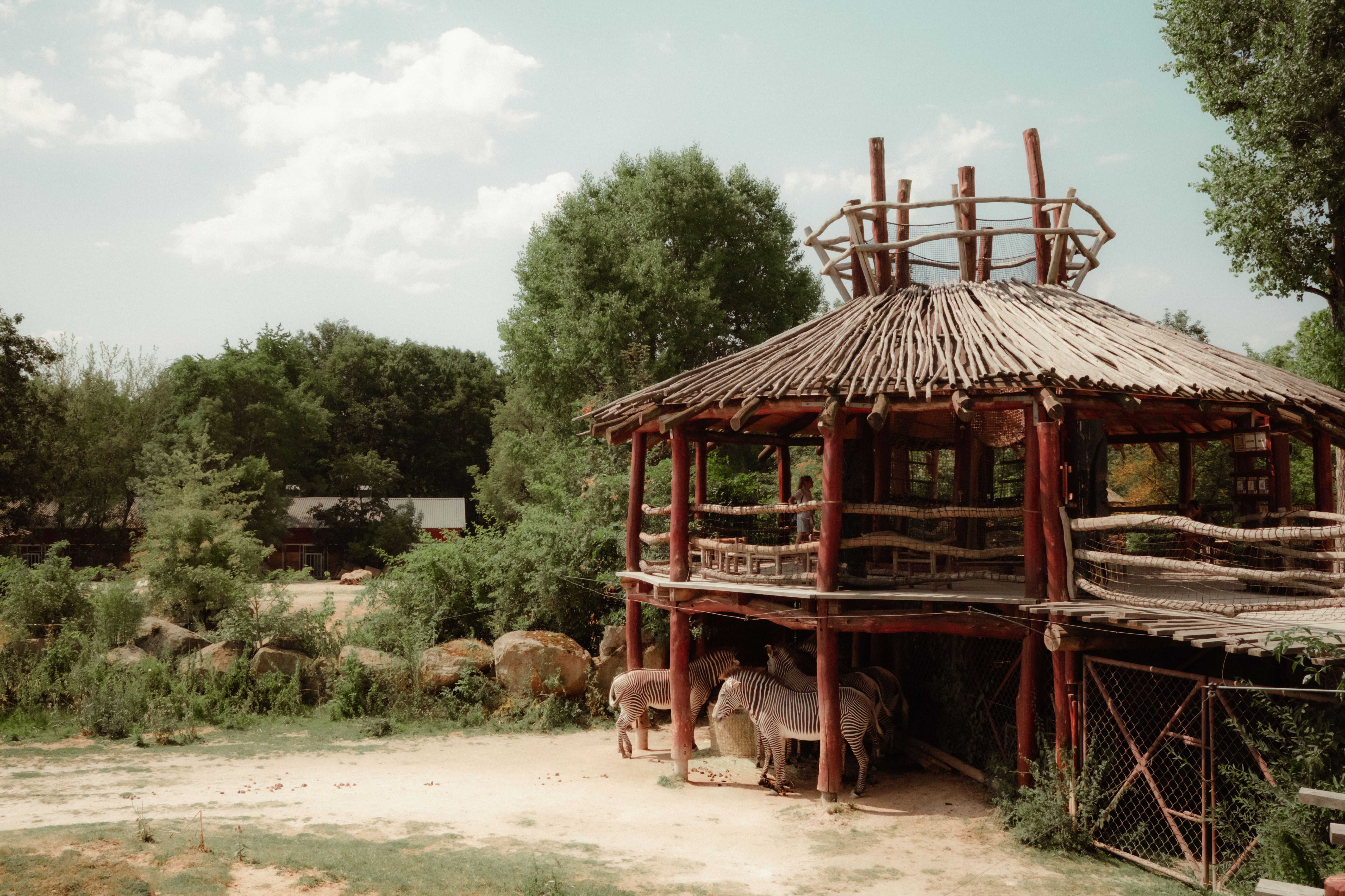 Safari Lunch-Box
