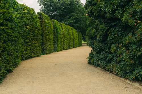 Free A tranquil path surrounded by lush greenery in a historic Prague park, perfect for a peaceful stroll. Stock Photo
