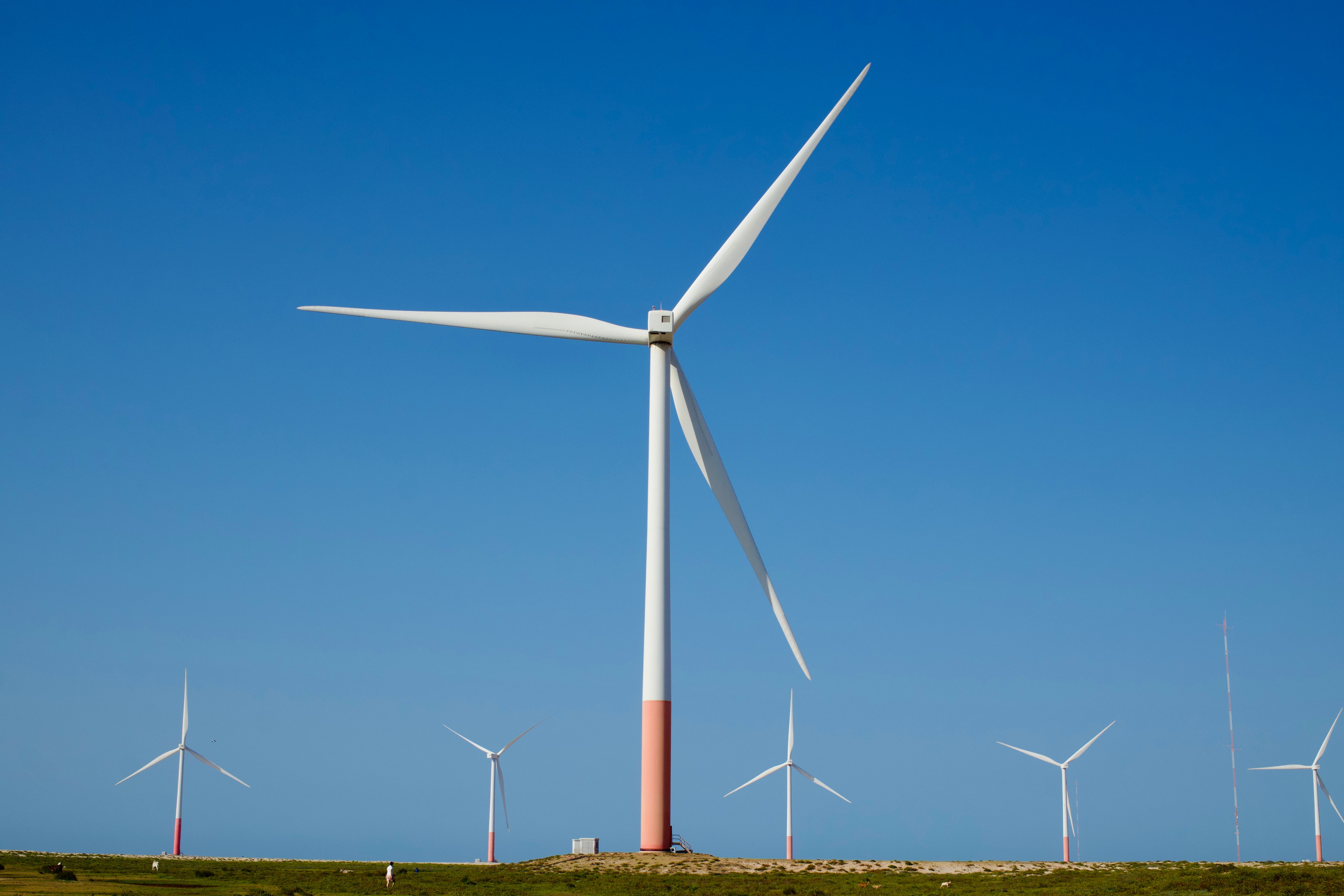 How Carbon Offsets Are Supposed To Work